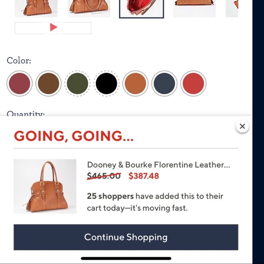 Dooney and bourke purse